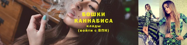 apvp Краснослободск