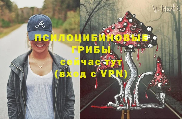 mdpv Куйбышев